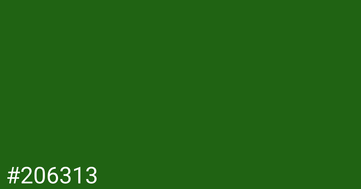 Hex color #206313 graphic