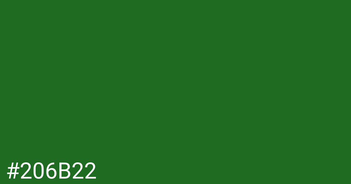 Hex color #206b22 graphic