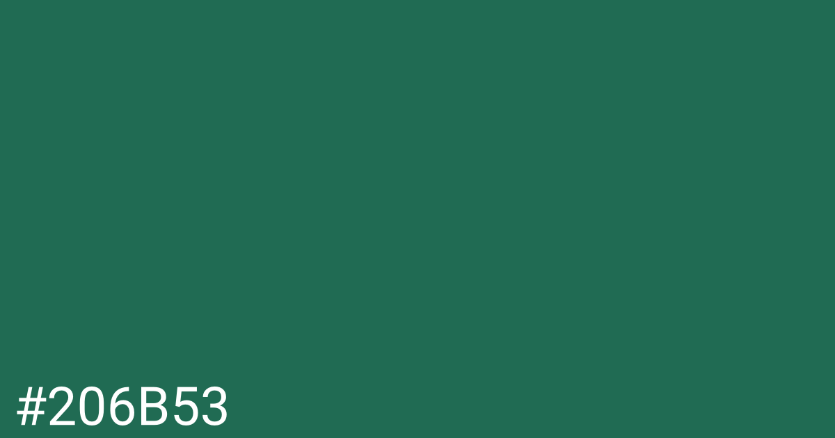 Hex color #206b53 graphic