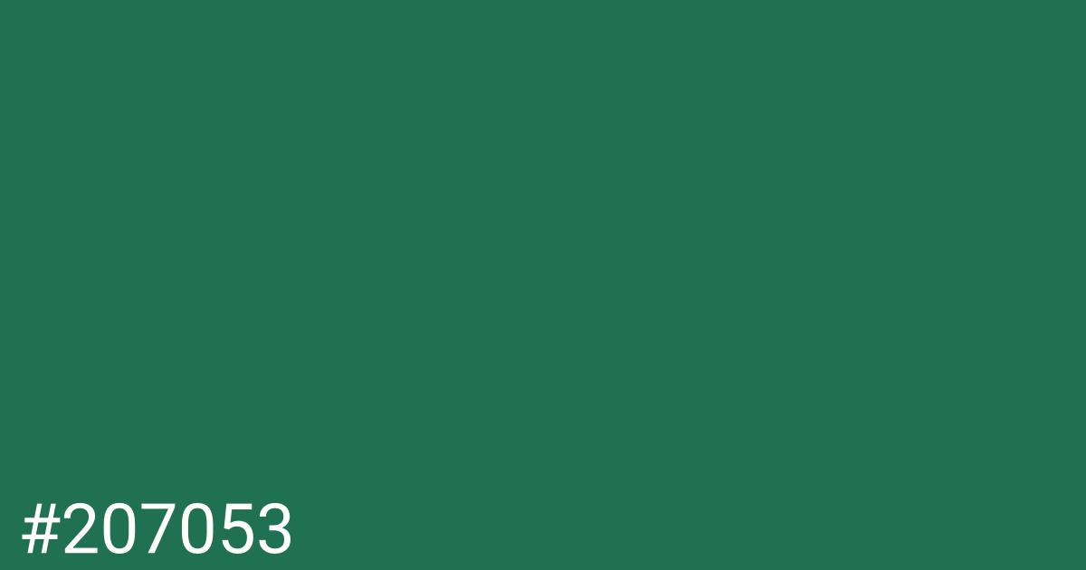 Hex color #207053 graphic