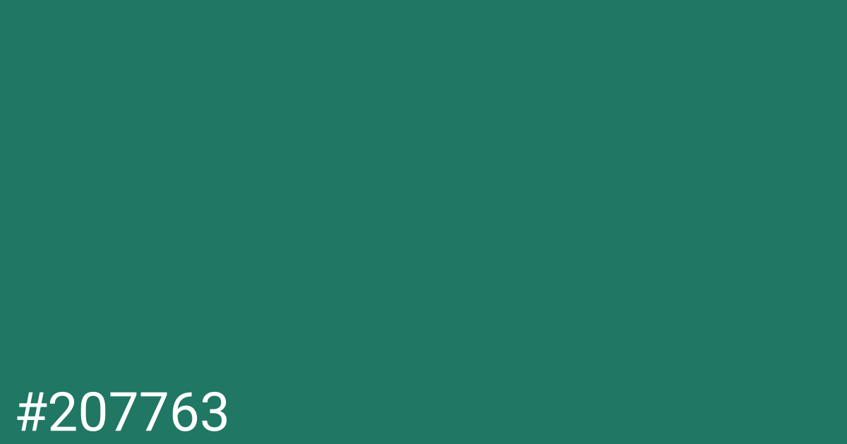 Hex color #207763 graphic