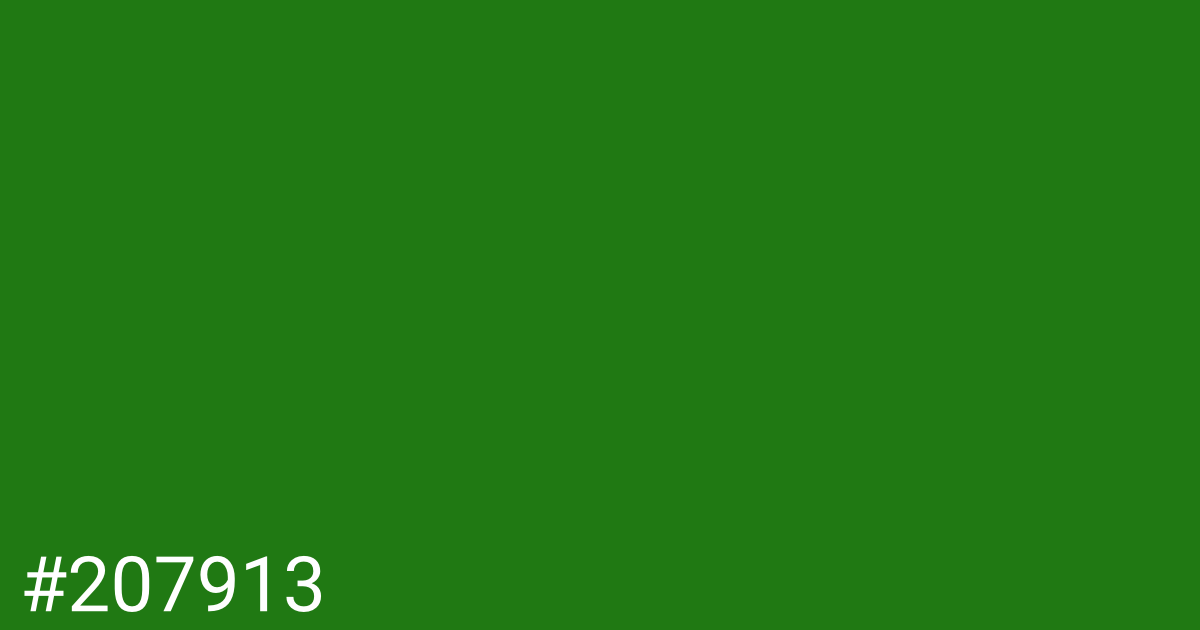 Hex color #207913 graphic