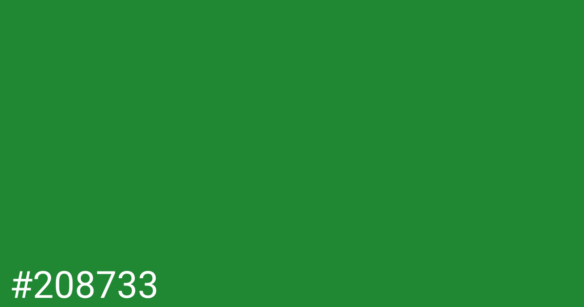 Hex color #208733 graphic