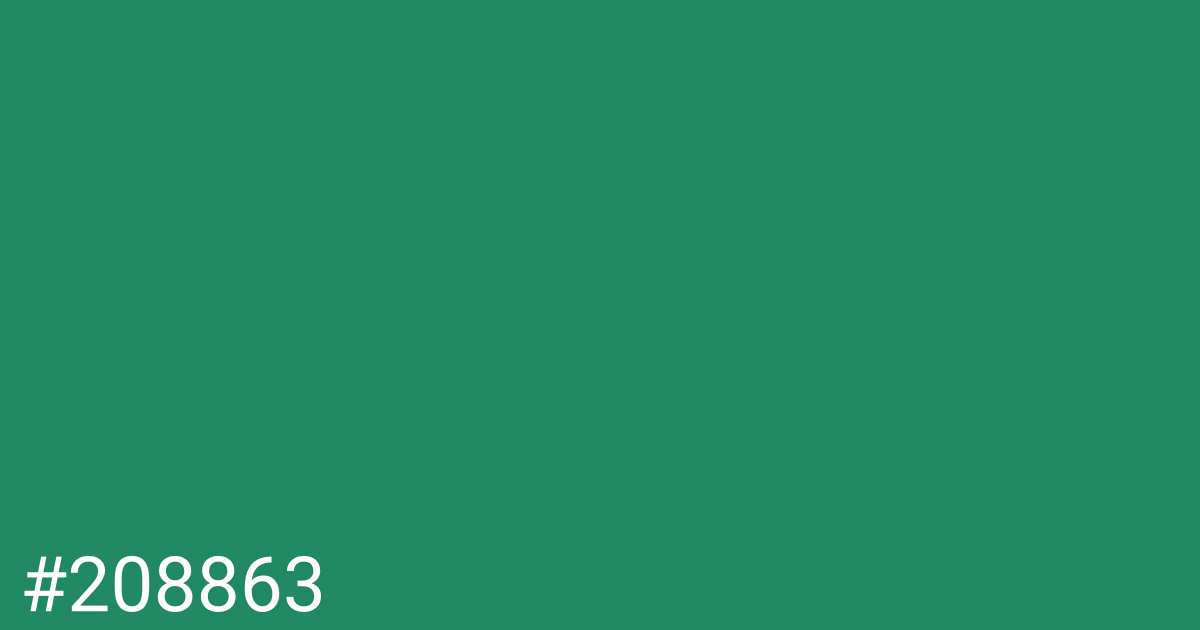 Hex color #208863 graphic