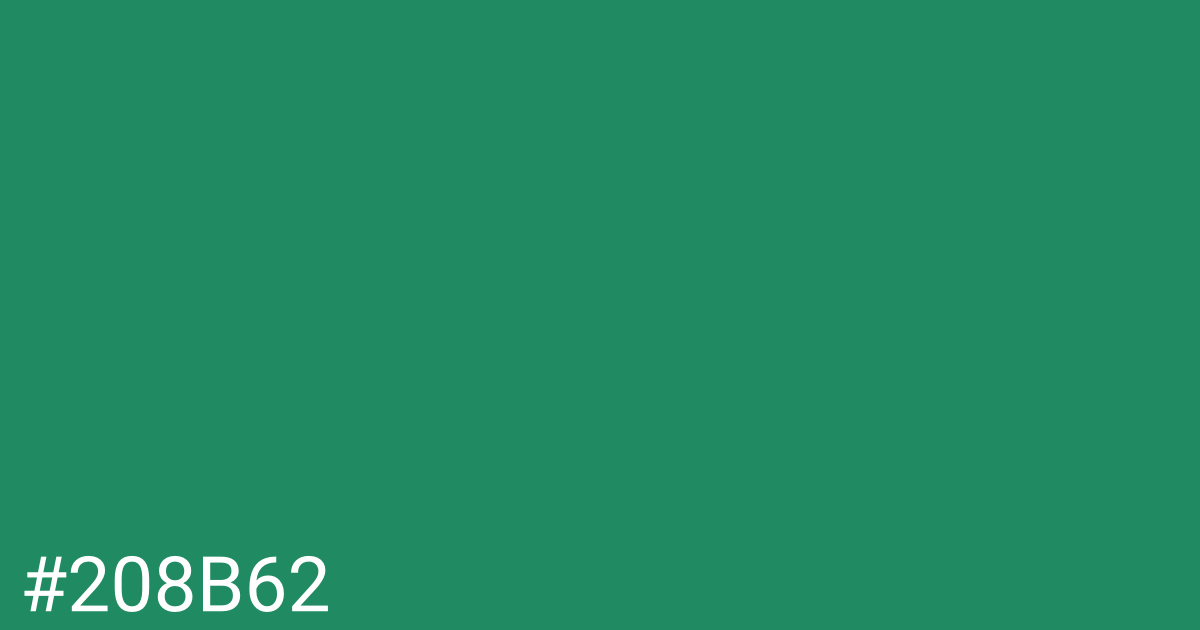 Hex color #208b62 graphic