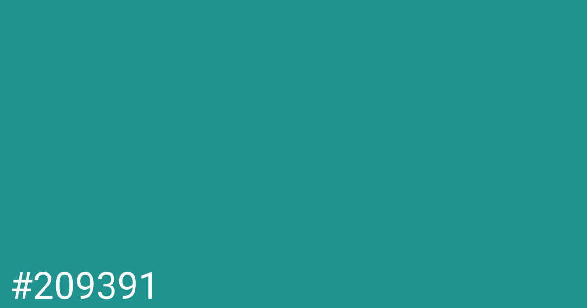 Hex color #209391 graphic