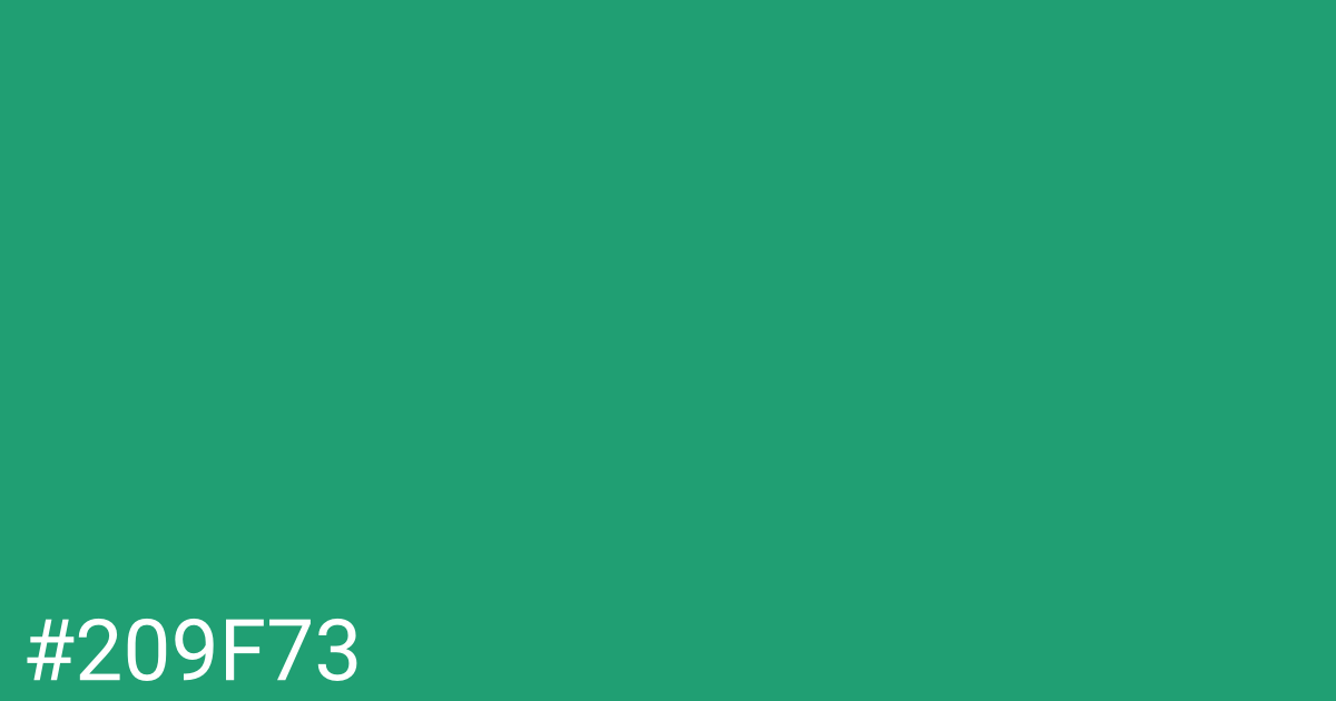 Hex color #209f73 graphic