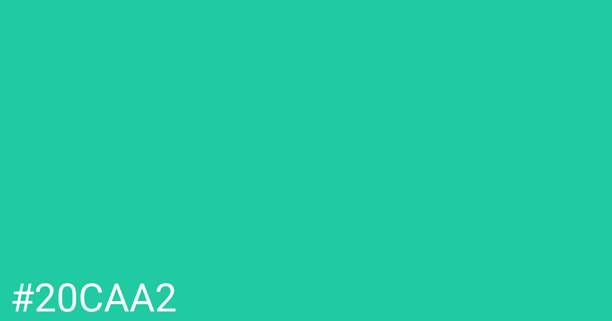 Hex color #20caa2 graphic