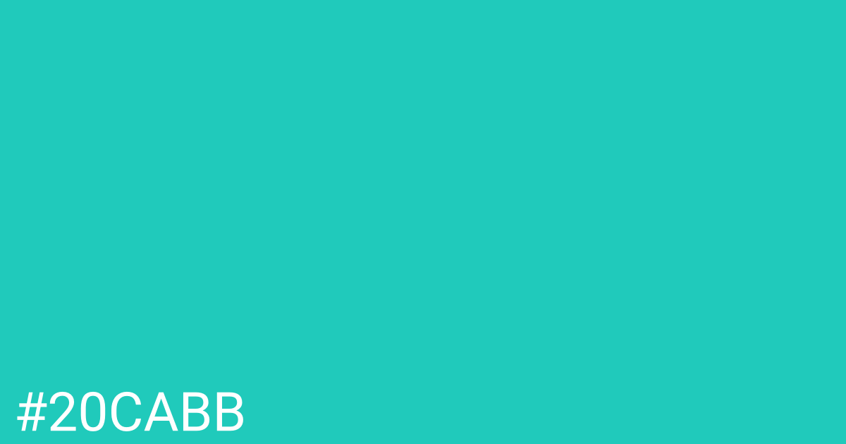 Hex color #20cabb graphic