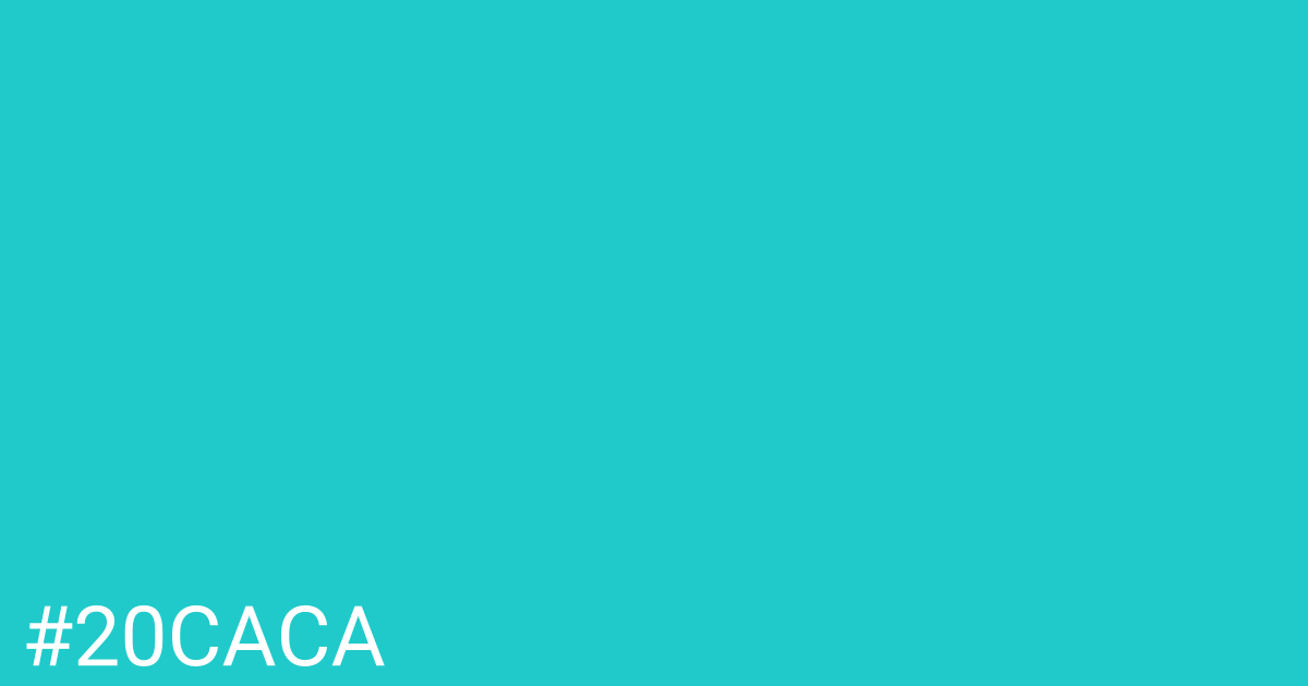 Hex color #20caca graphic