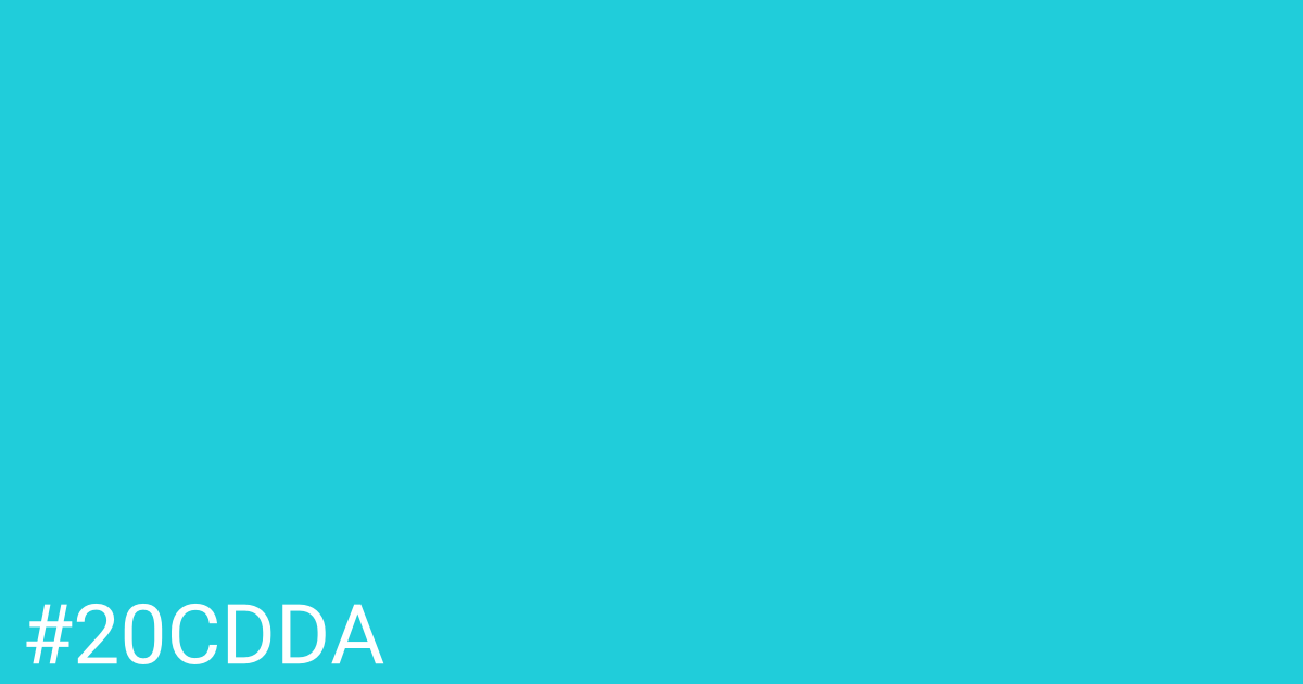 Hex color #20cdda graphic