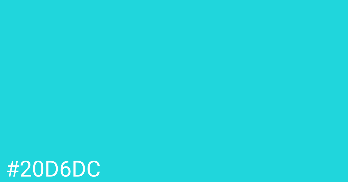 Hex color #20d6dc graphic