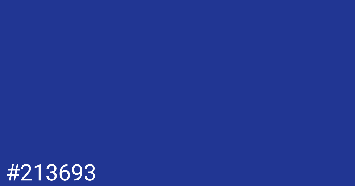 Hex color #213693 graphic