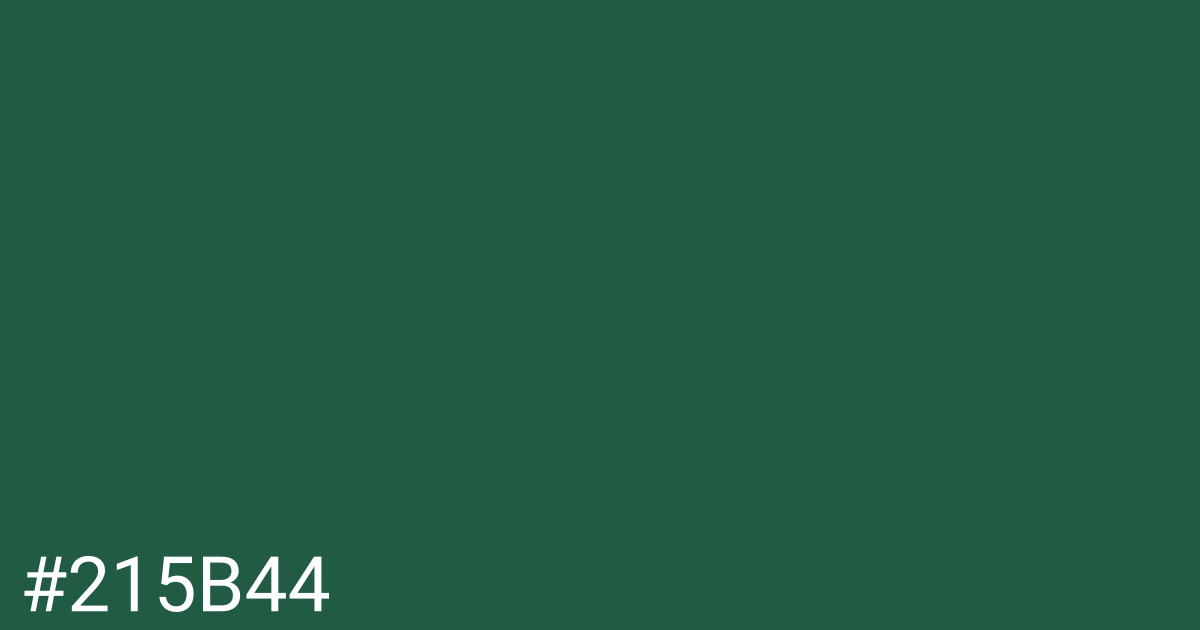 Hex color #215b44 graphic