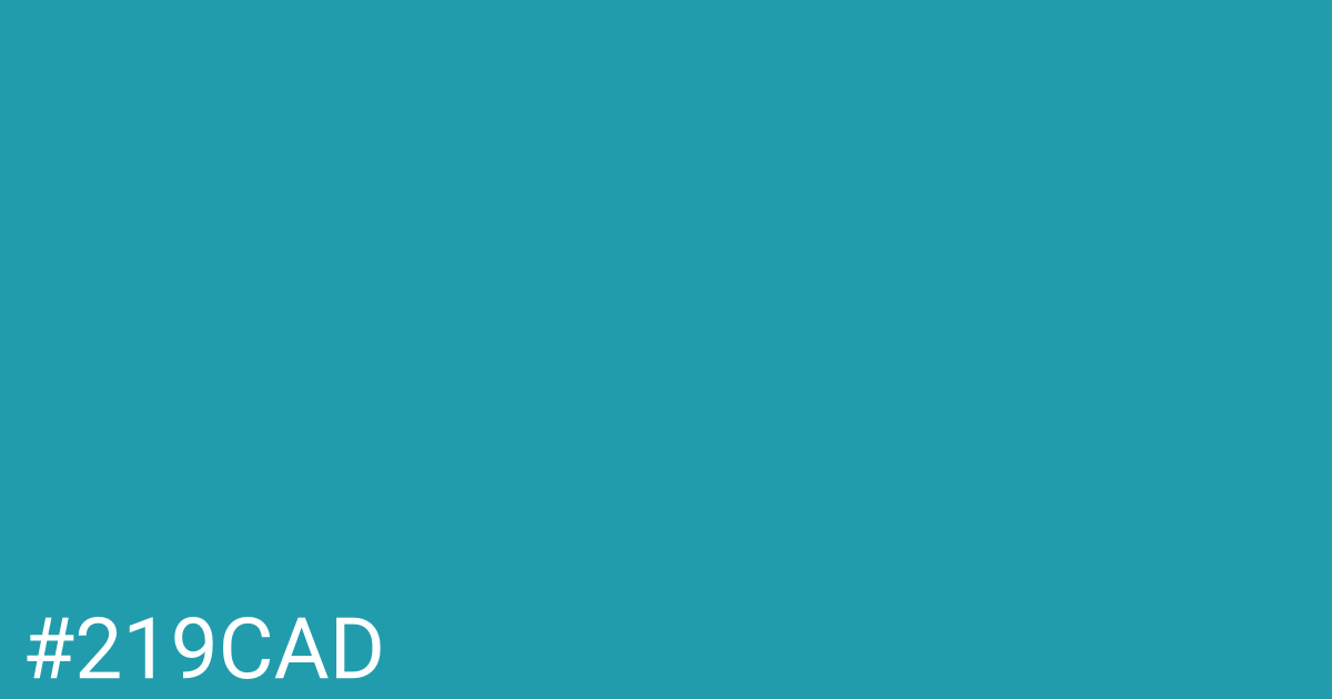 Hex color #219cad graphic