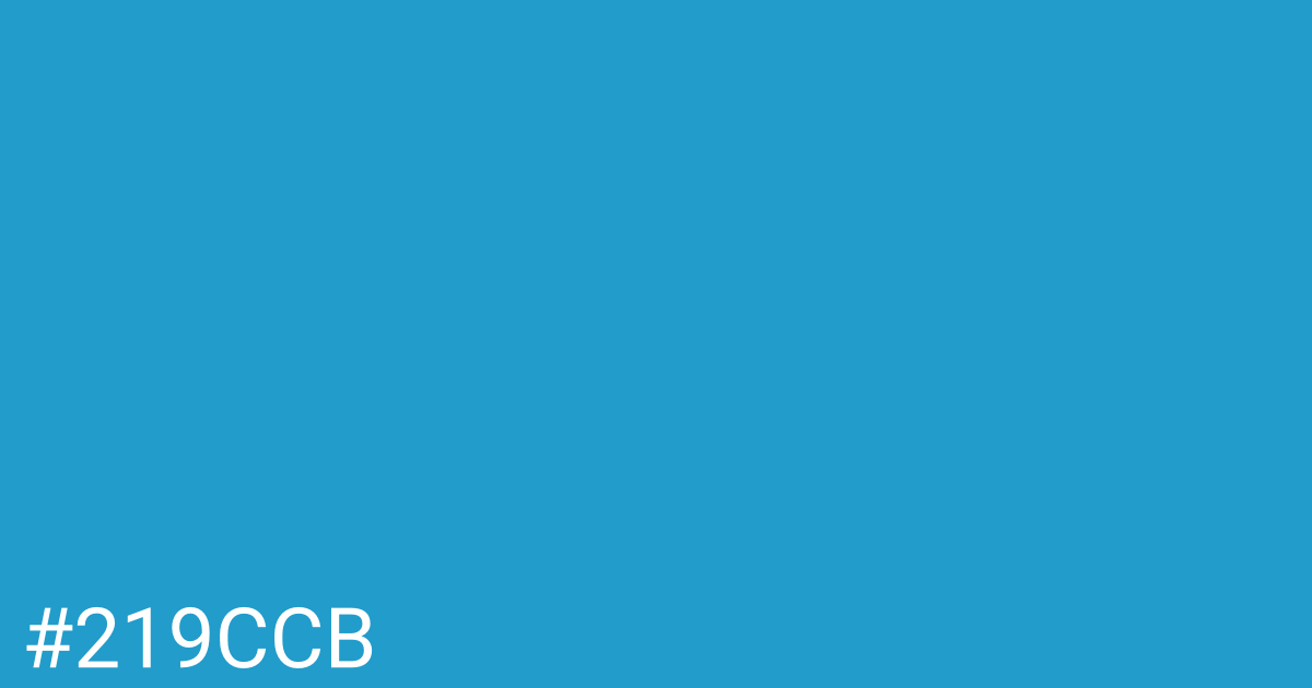 Hex color #219ccb graphic
