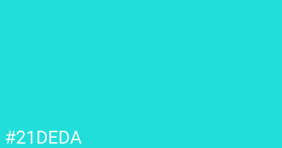 Hex color #21deda graphic