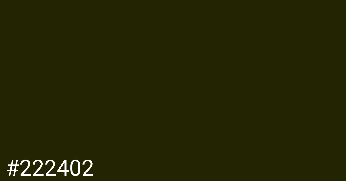 Hex color #222402 graphic