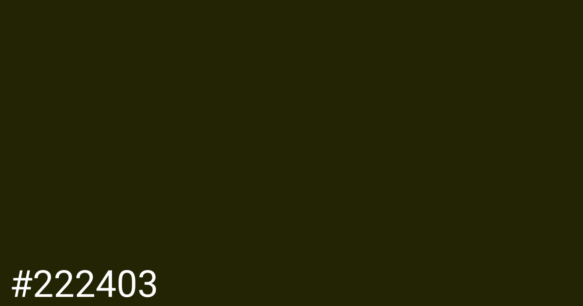 Hex color #222403 graphic