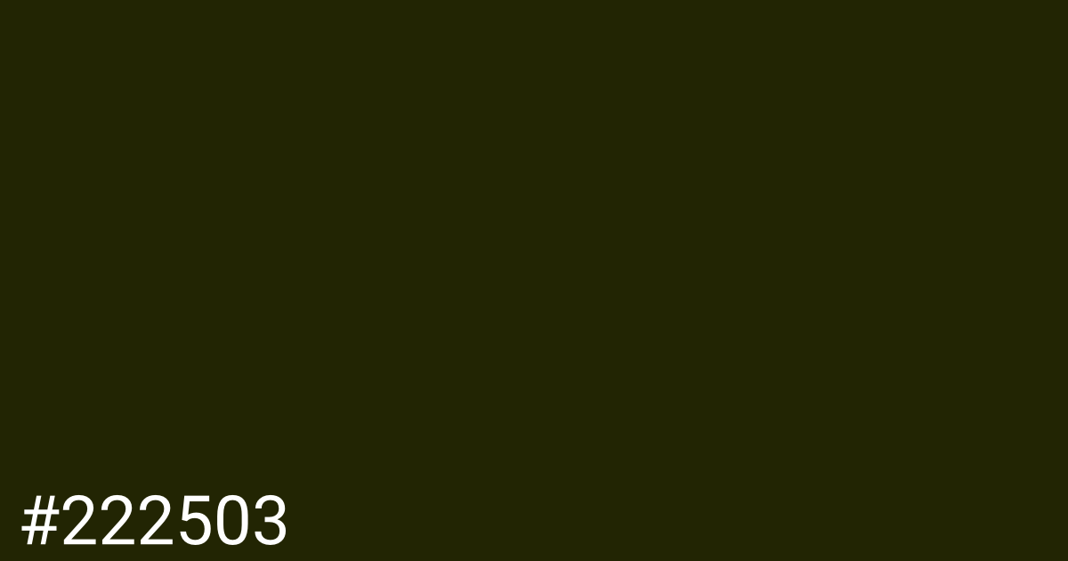 Hex color #222503 graphic