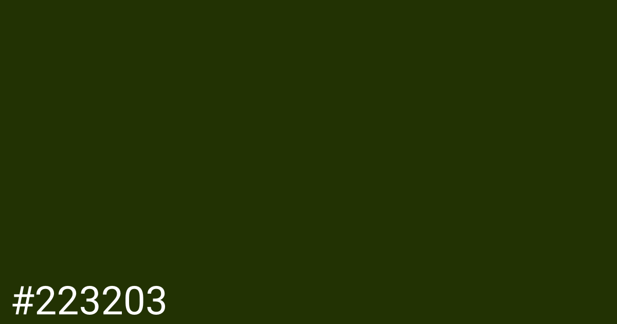 Hex color #223203 graphic