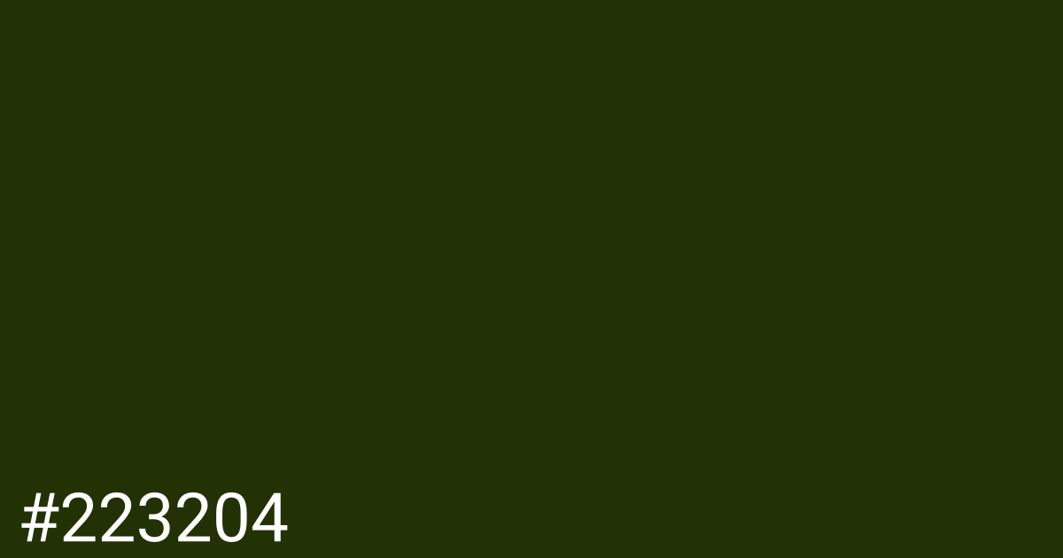 Hex color #223204 graphic