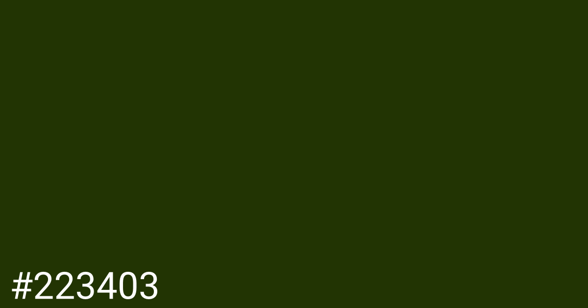 Hex color #223403 graphic