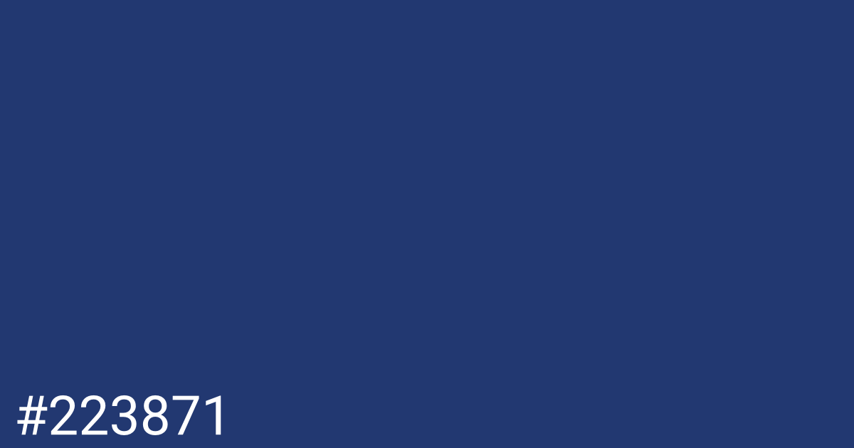 Hex color #223871 graphic