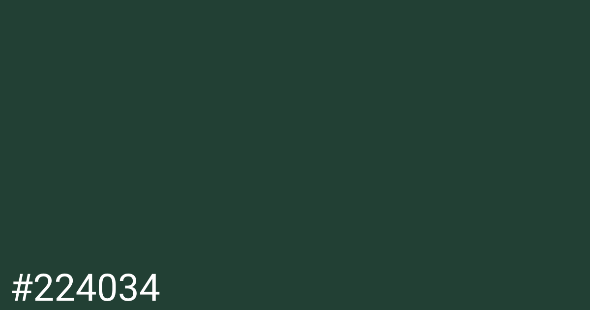 Hex color #224034 graphic