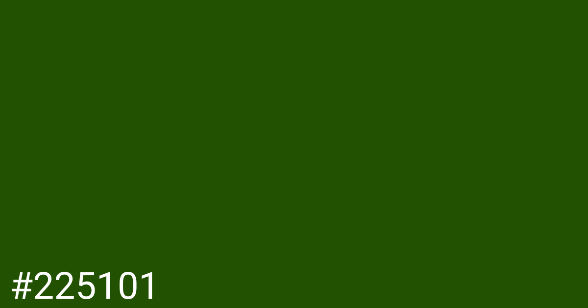 Hex color #225101 graphic