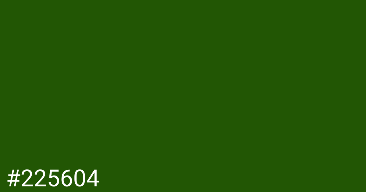 Hex color #225604 graphic