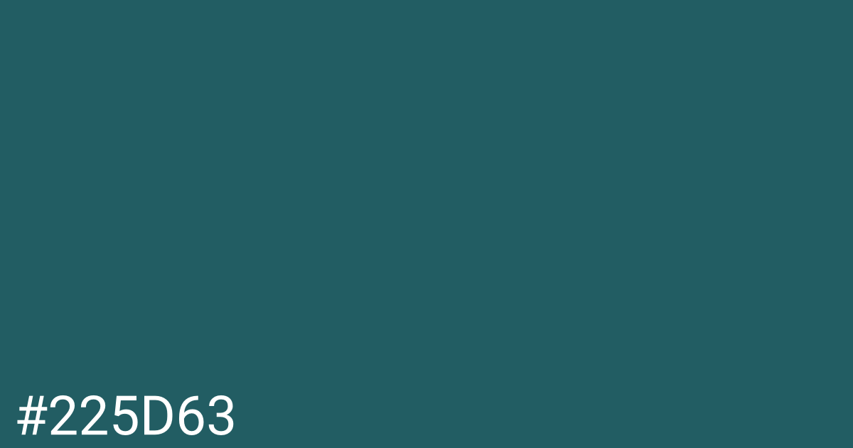 Hex color #225d63 graphic