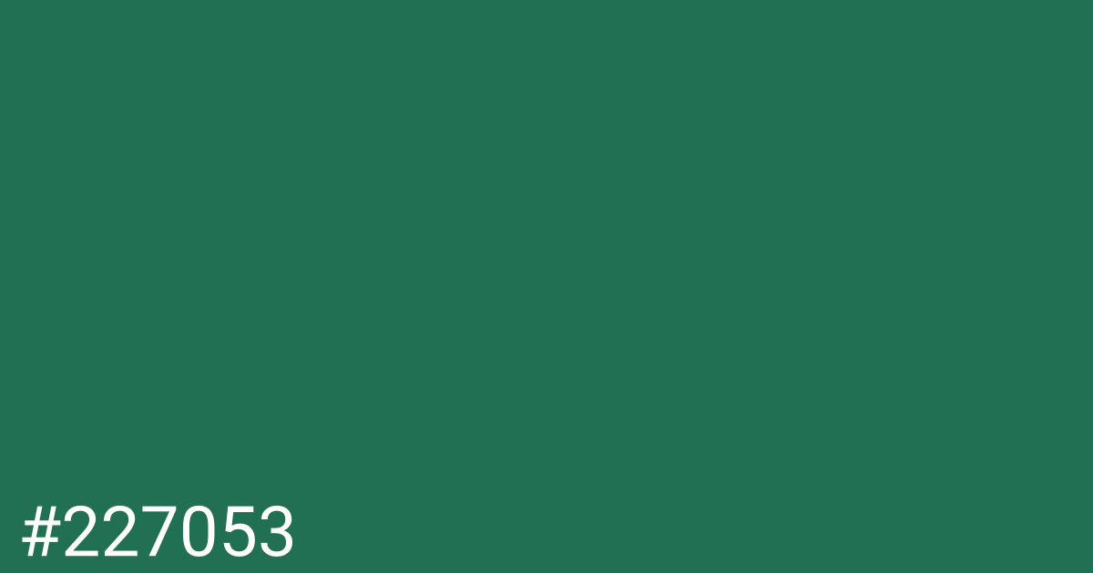 Hex color #227053 graphic