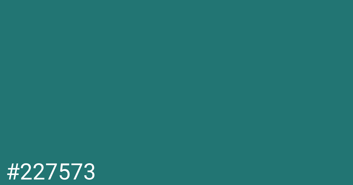 Hex color #227573 graphic