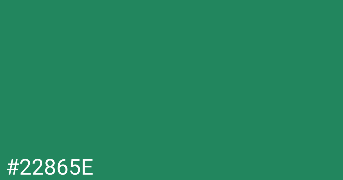 Hex color #22865e graphic