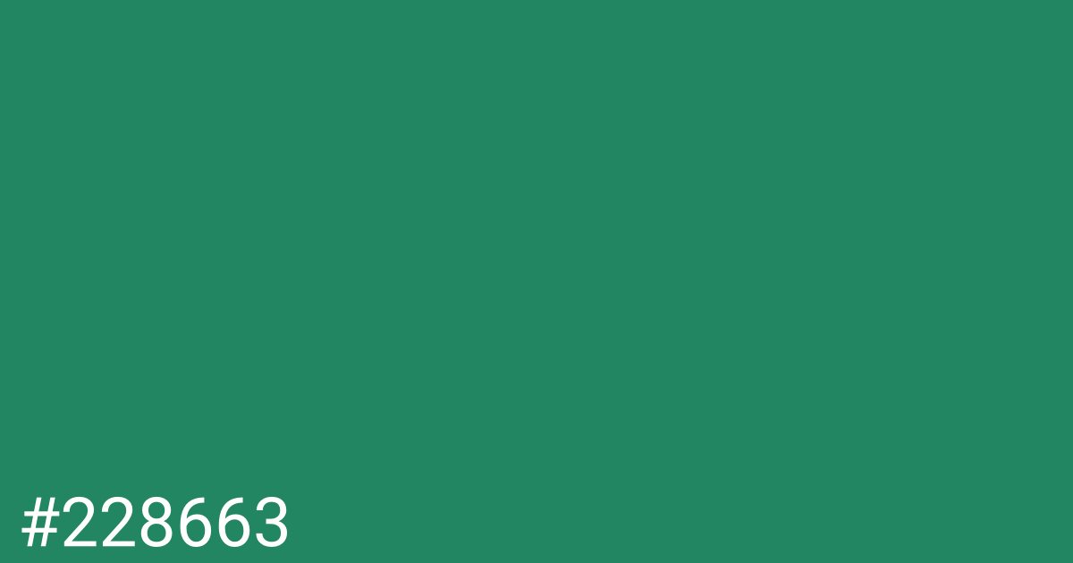 Hex color #228663 graphic