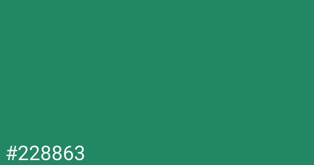 Hex color #228863 graphic