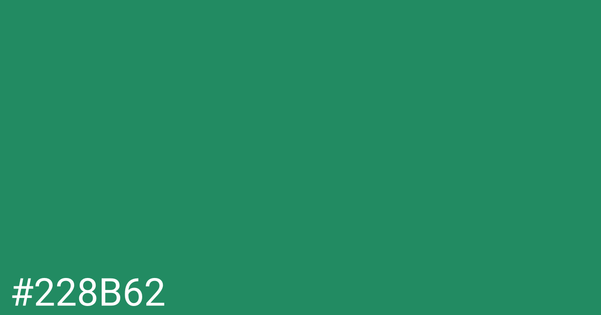 Hex color #228b62 graphic