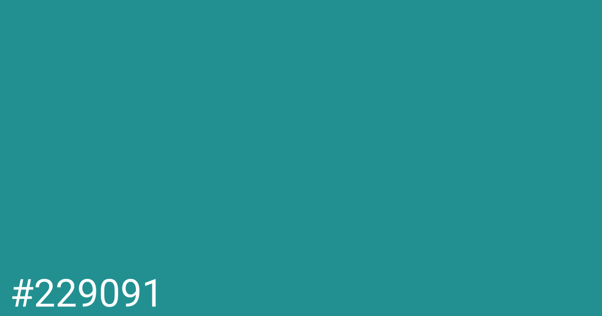 Hex color #229091 graphic