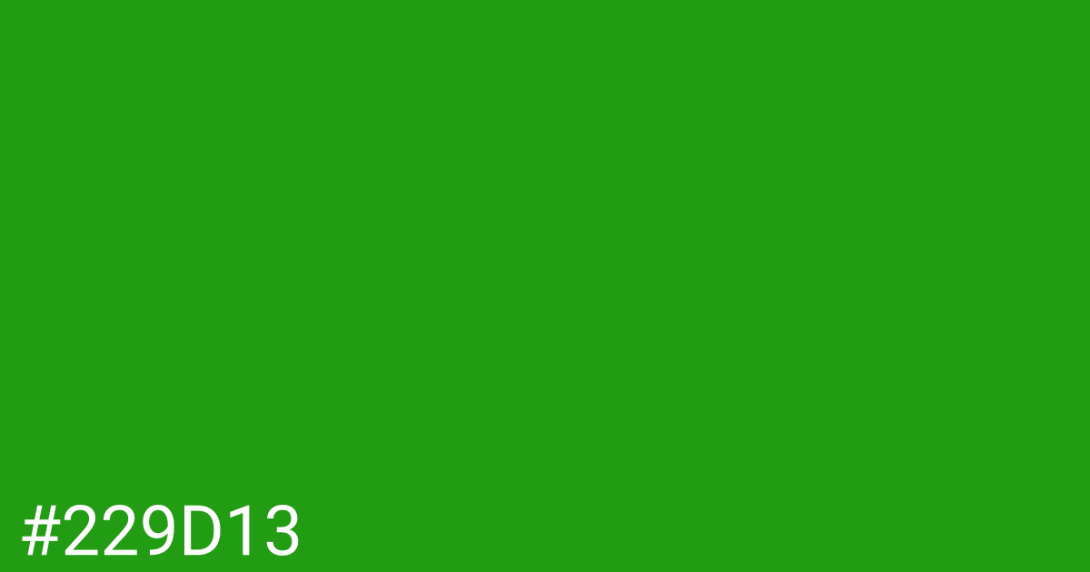 Hex color #229d13 graphic