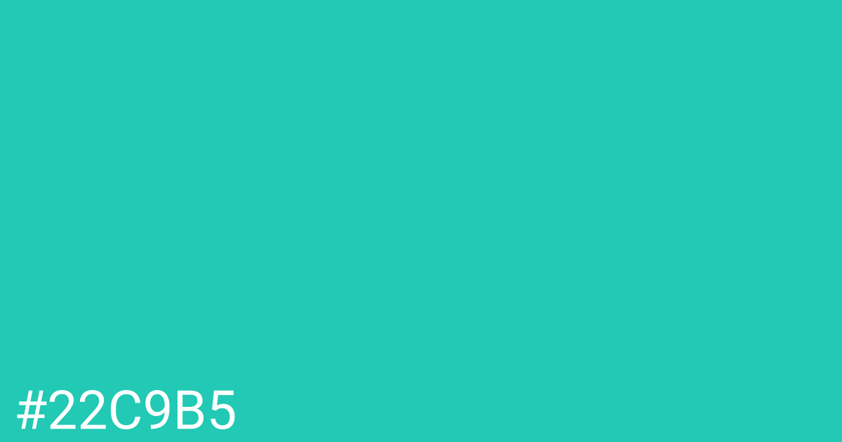 Hex color #22c9b5 graphic