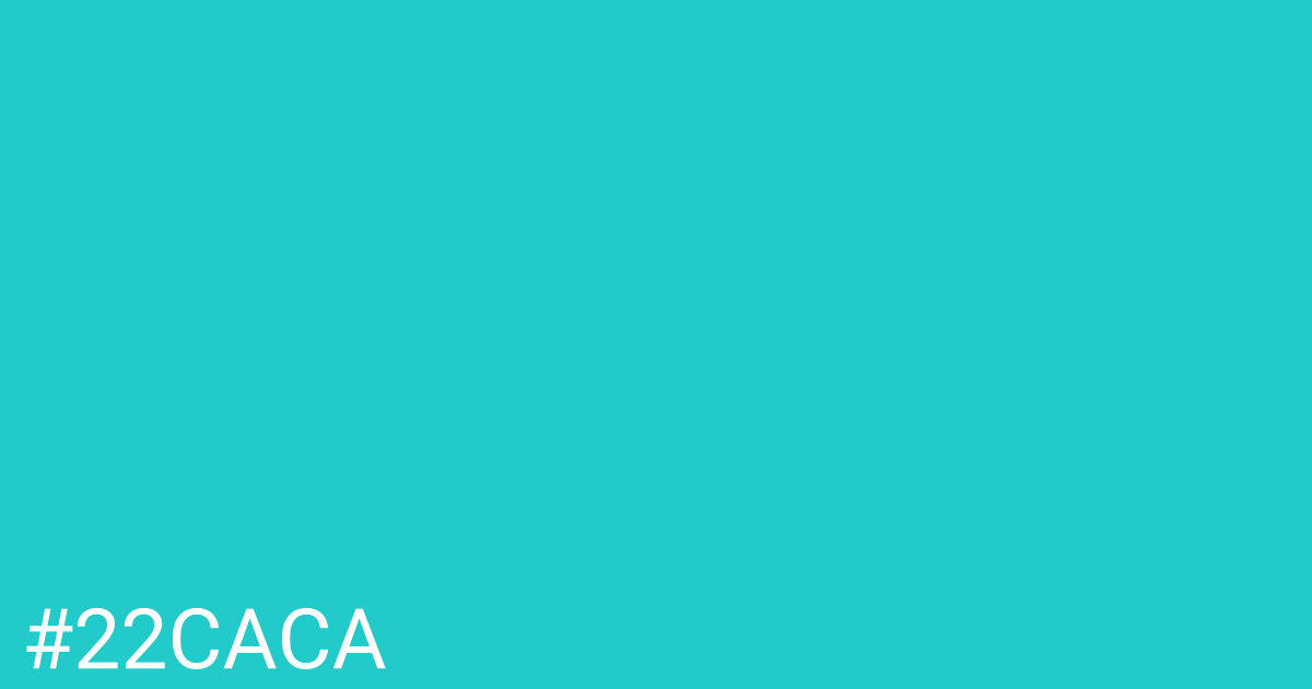 Hex color #22caca graphic