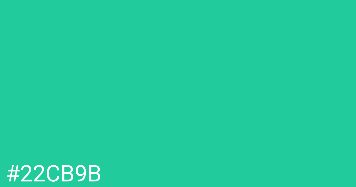 Hex color #22cb9b graphic