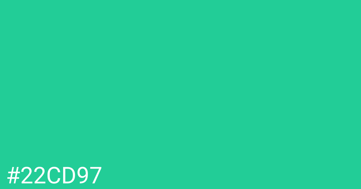 Hex color #22cd97 graphic