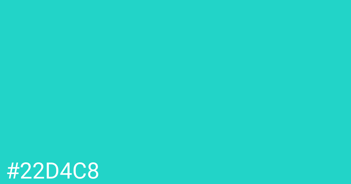 Hex color #22d4c8 graphic