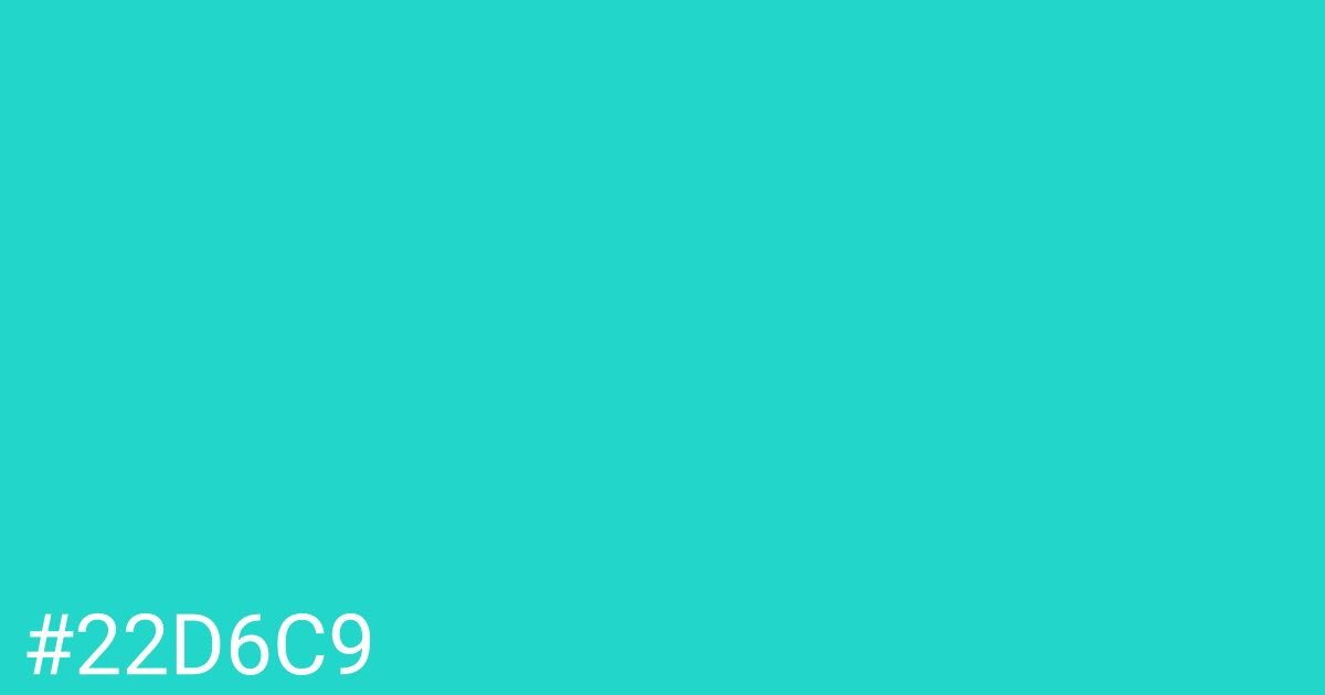 Hex color #22d6c9 graphic