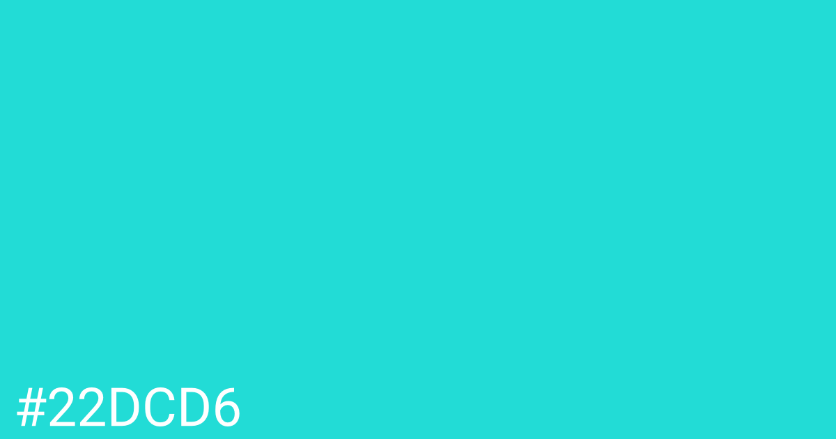 Hex color #22dcd6 graphic