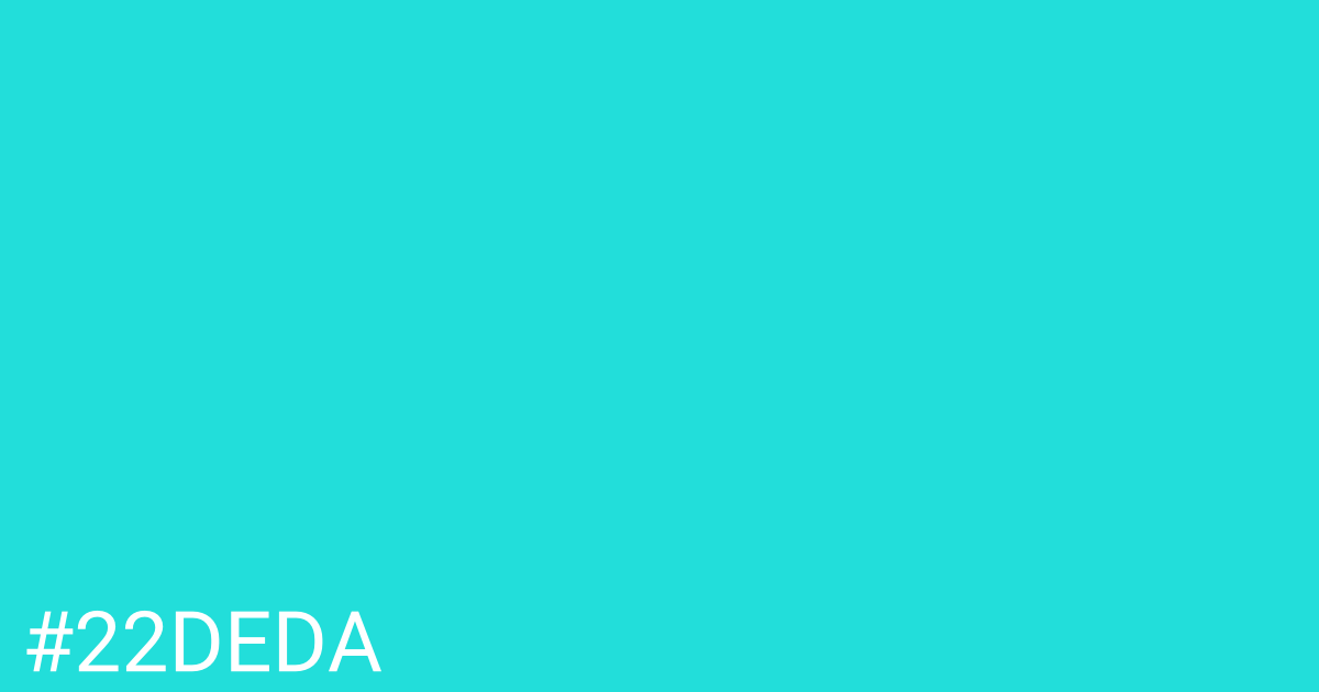 Hex color #22deda graphic