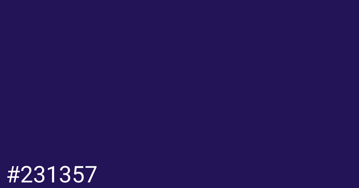 Hex color #231357 graphic