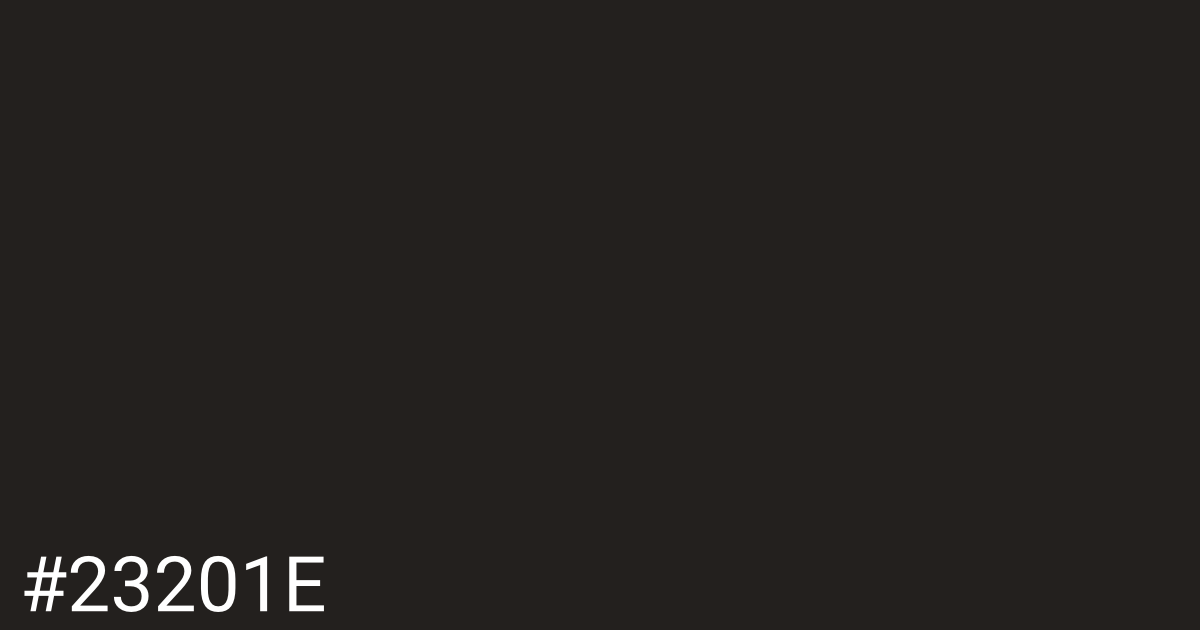 Hex color #23201e graphic